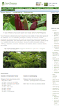 Mobile Screenshot of forest-treasures.com